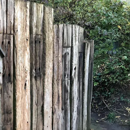 Blue Lounge * Dangast